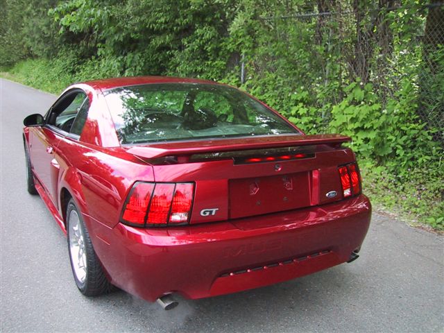 Mustang Car