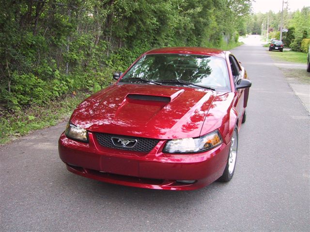 Mustang Car